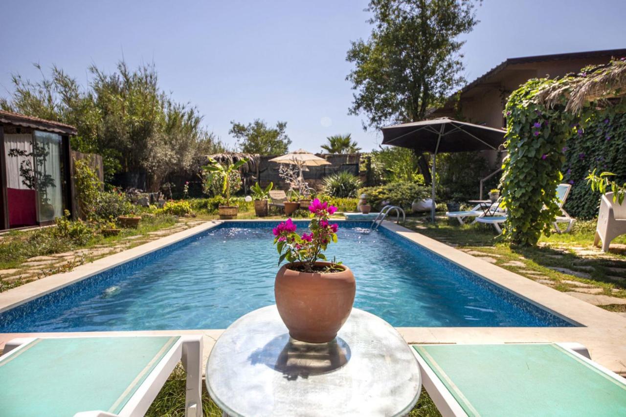 Private Pool Cozy Villa In Yaliciftlik, Bodrum Ciftlikkoy  Dış mekan fotoğraf